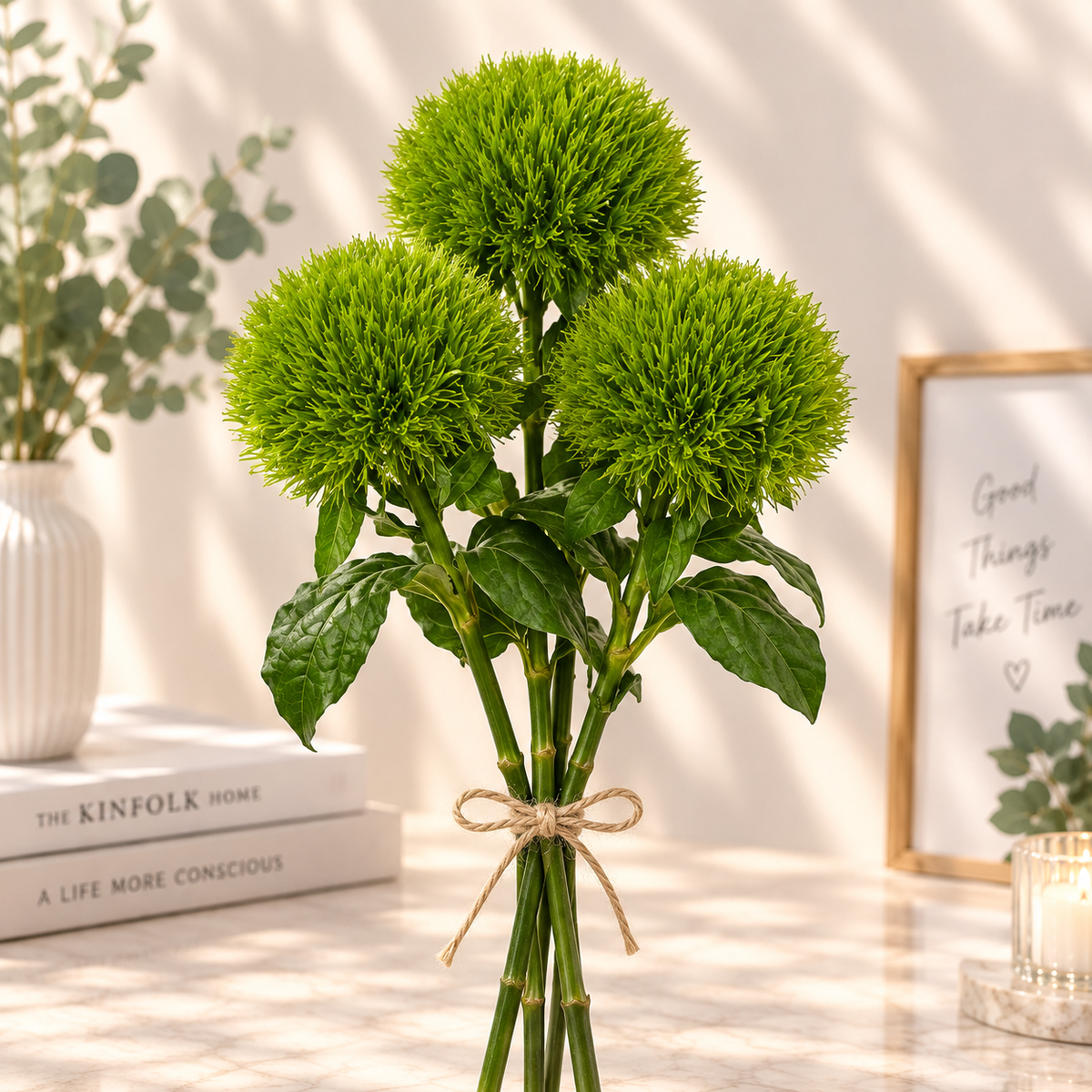 Green Pom-Pom Flower in Sunlit Interior