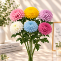 Pastel Chrysanthemums in a Sunlit Still Life